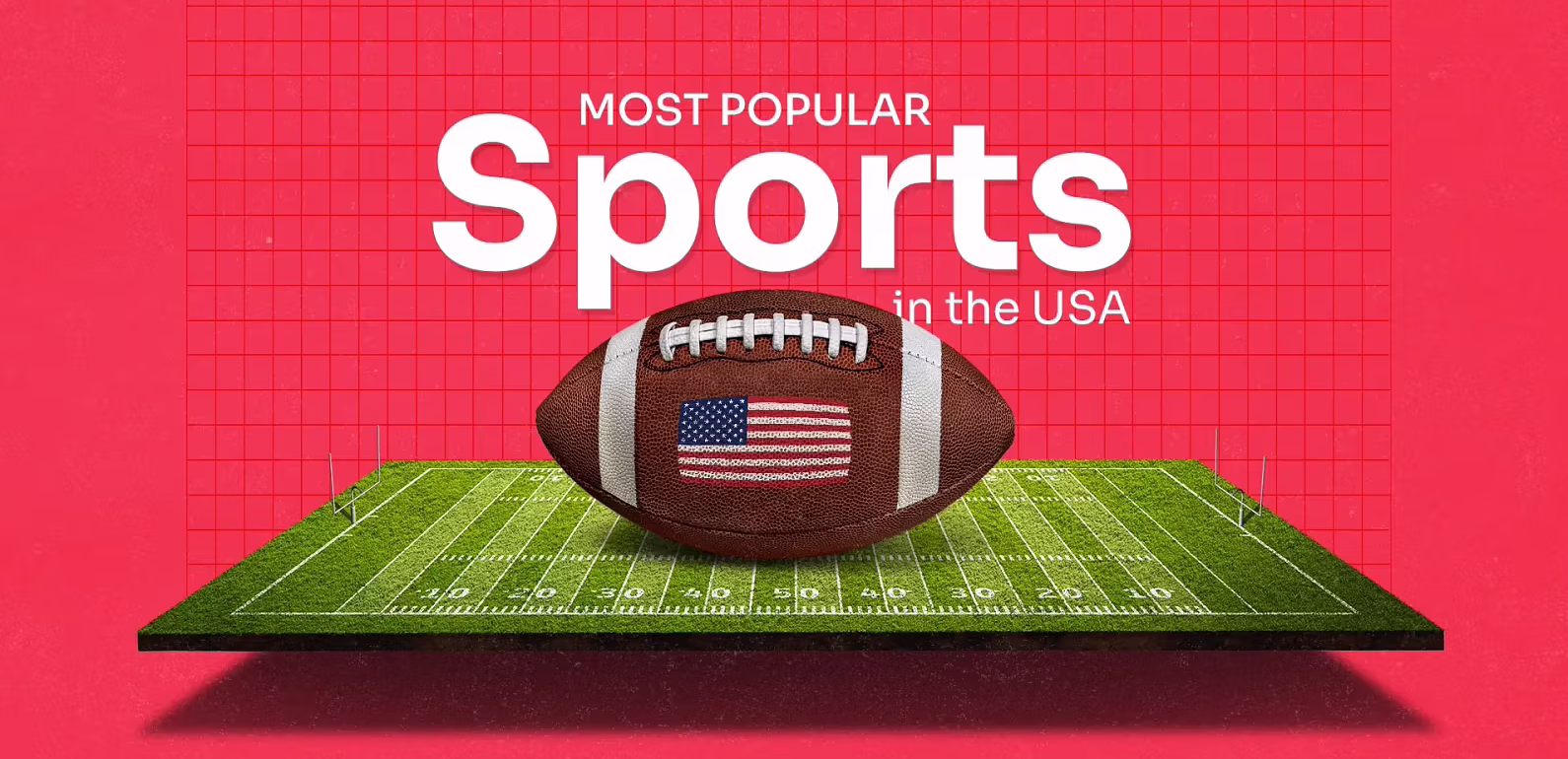 Top 10 Sports Teams with the Biggest Fanbase in the USA 2024