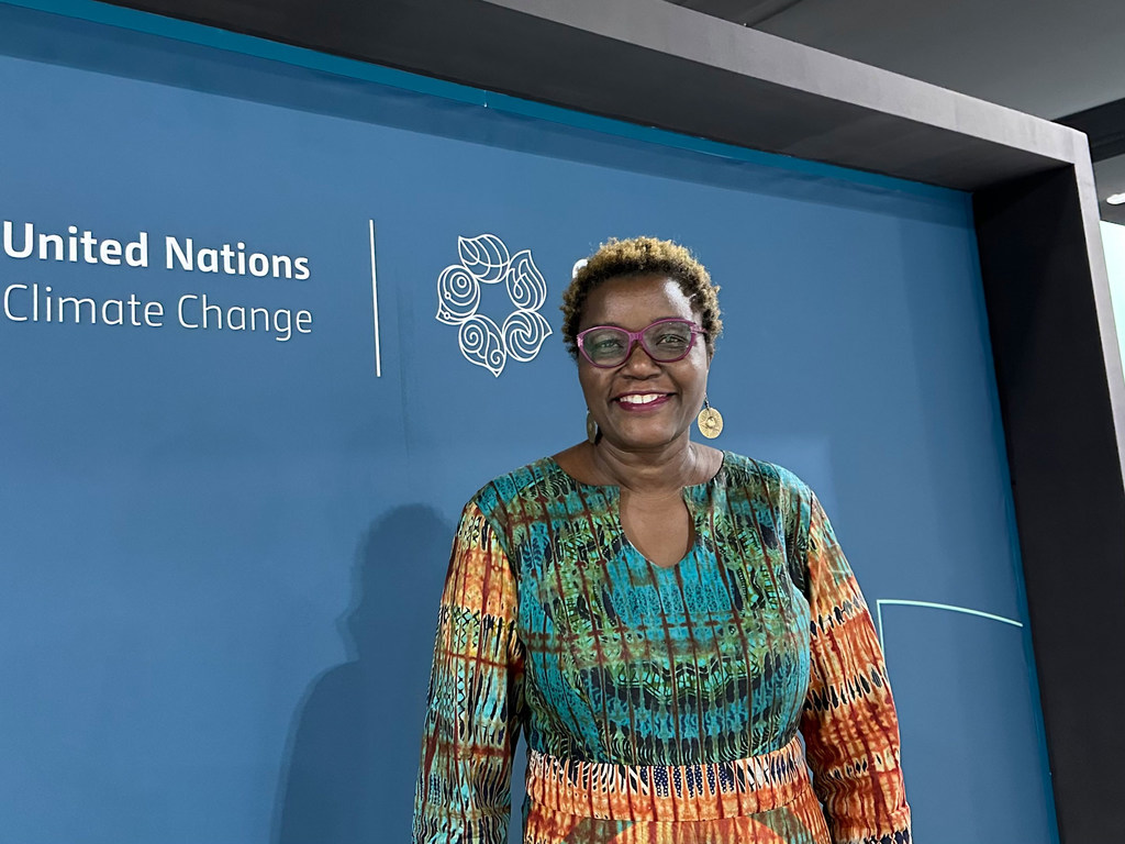Jemimah Njuki, Chief of the Economic Empowerment section at UN Women, speaks to UN News at COP29 in Baku, Azerbaijan. Jemimah Njuki, Chief of the Economic Empowerment section at UN Women, speaks to UN News at COP29 in Baku, Azerbaijan.