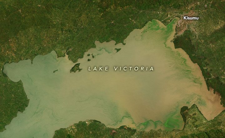 Victoria Lake