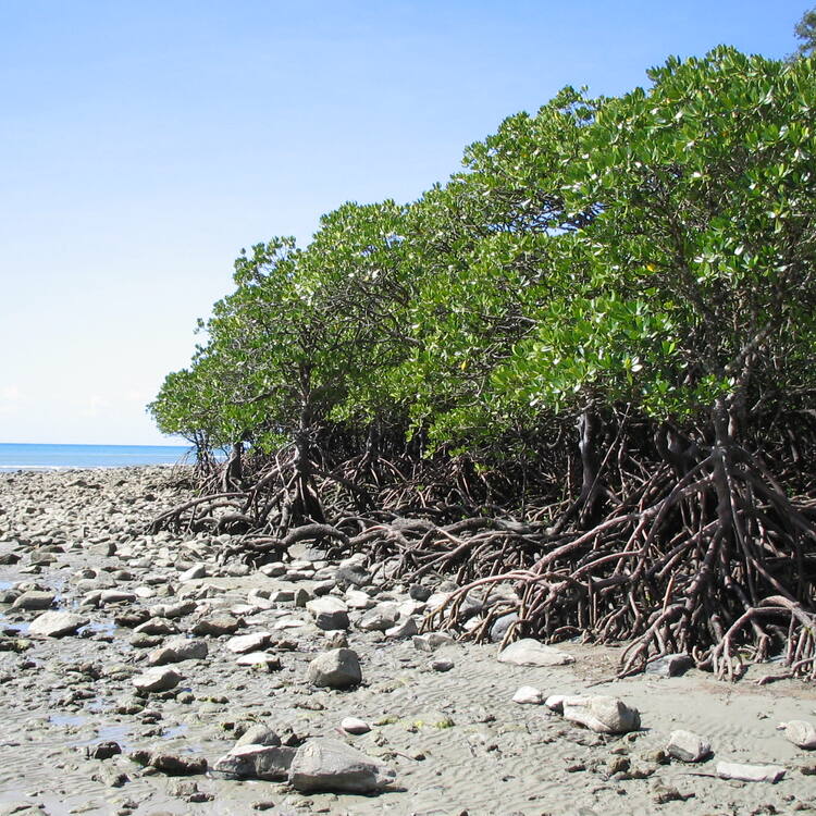 West tropics of Queensland